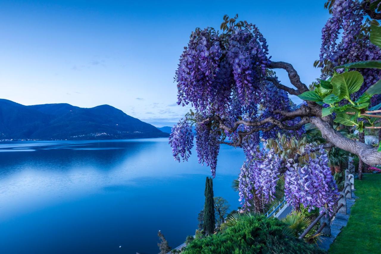 Boutique Hotel La Rocca Ronco sopra Ascona Zewnętrze zdjęcie